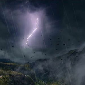 Meet your Posher, Gabriel